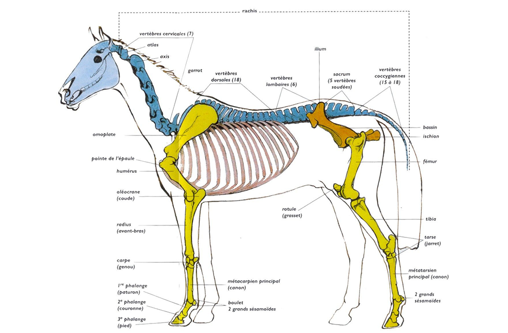 1539ef6e902f7facddc415e14b61a5e5
