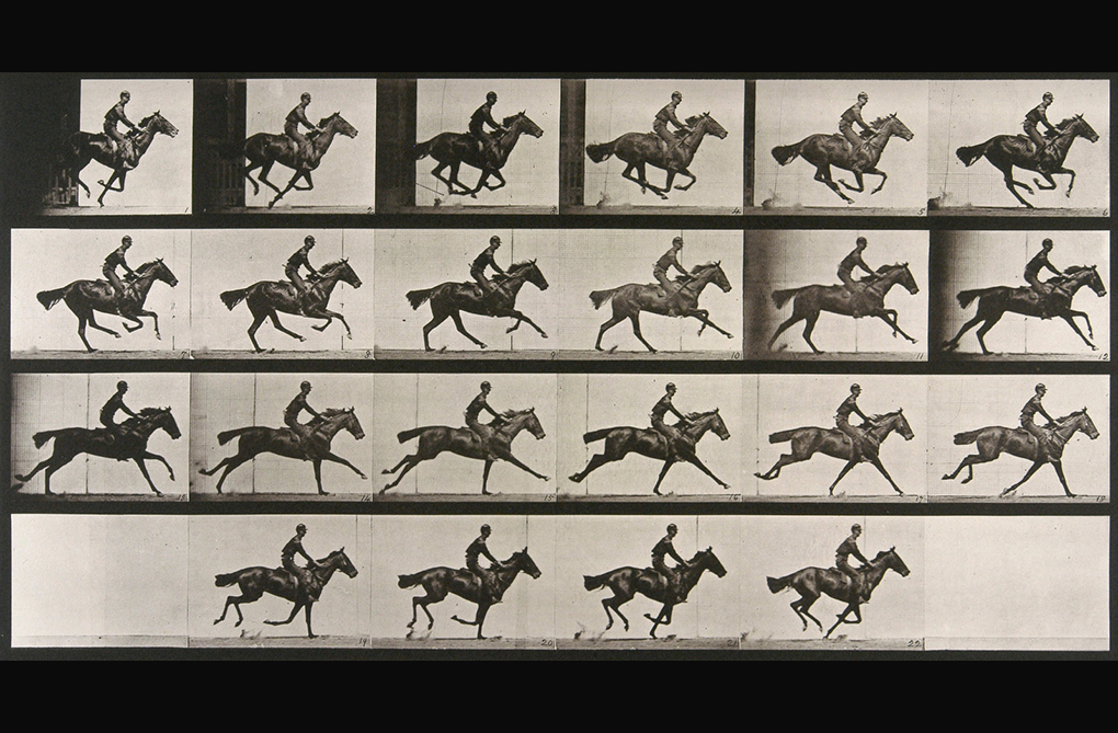 Muybridge-galop-1887
